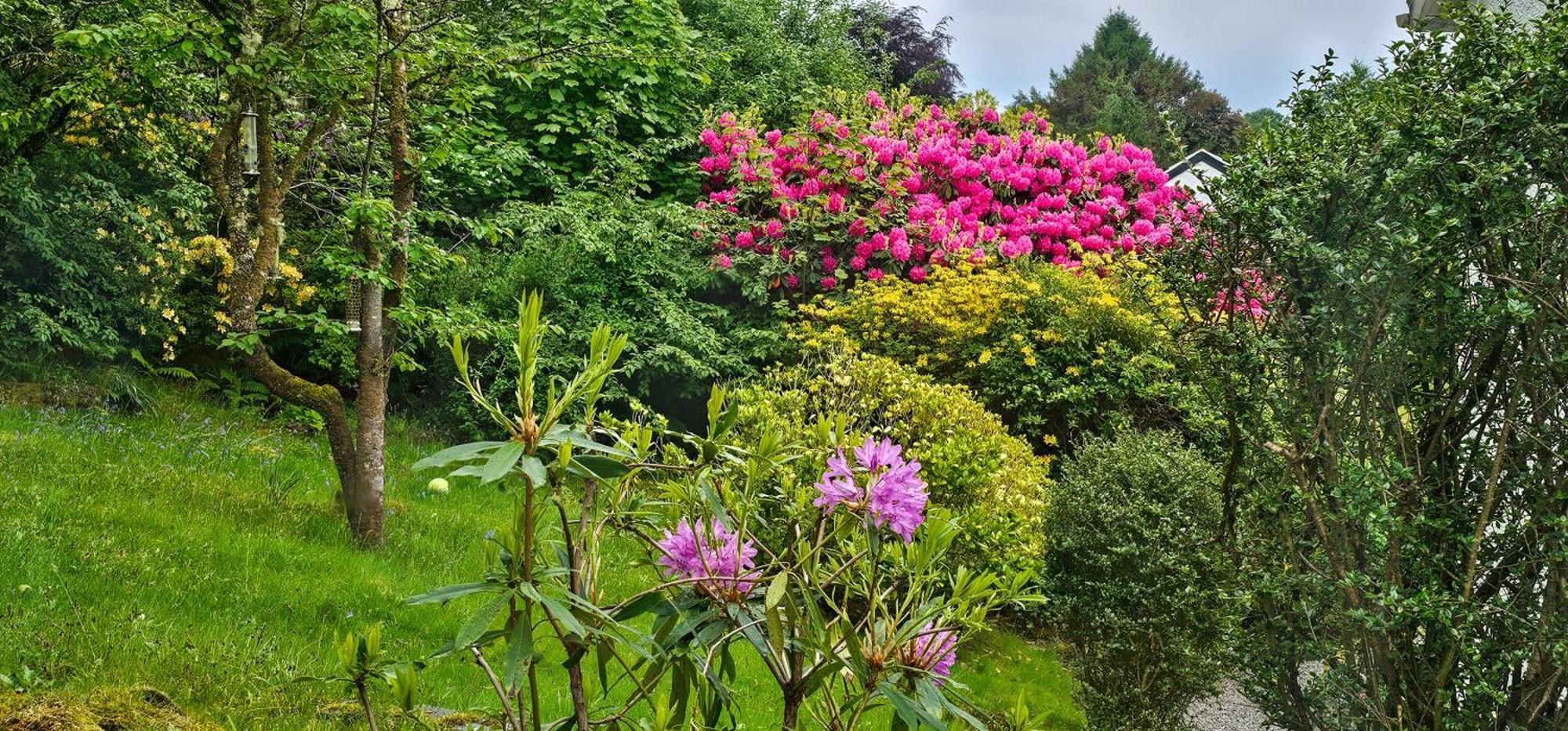 Ards House Bed and Breakfast Oban Buitenkant foto